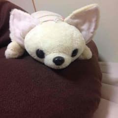 チワワの枕のサムネイル