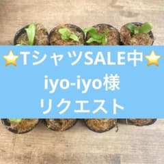 ⭐️TシャツSALE中⭐️iyo-iyo様リクエスト ⭐️TシャツSALE中⭐️iyo-iyo様リクエスト - メルカリ