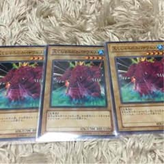 カバザウルス3枚セットのサムネイル