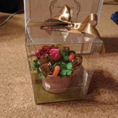 ブリザードフラワーのサムネイル