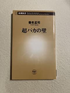 超バカの壁のサムネイル