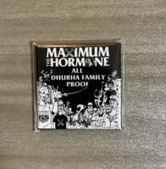 マキシマムザホルモン 限定プルーフ　 ALL DHURHA FAMILY マキシマムザホルモン 限定プルーフ ALL DHURHA FAMILY - メルカリ