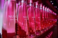 NUVO(ヌーヴォ) スパークリングリキュール 750mlのサムネイル