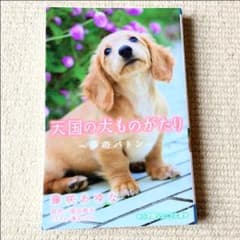 天国の犬ものがたり 〜夢のバトン〜 小学館ジュニア文庫のサムネイル