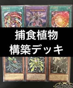 遊戯王 捕食植物デッキ プレデタープランツ 新弾構築 即購入可 超逸