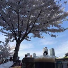 うみはるママ様のサムネイル