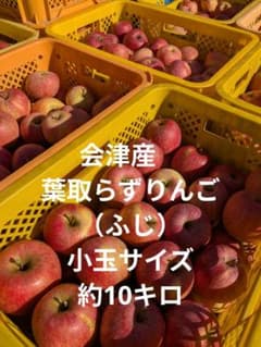 会津産　葉取らずりんご（ふじ）小玉サイズ　家庭用約10キロのサムネイル