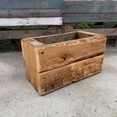 秋の背ール‼️木製プランターのサムネイル