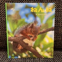 「ねんね」　作:さえぐち　ひろこのサムネイル