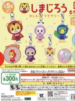 しまじろう めじるしアクセサリー 全5種コンプセットのサムネイル