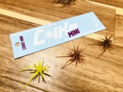 ハイドアップ  コイケミニ  イエロー ミミズ グリパン　アソートセットのサムネイル