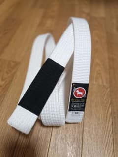 Jiu-jitsu Bullterrier 柔術帯 ホワイト A3サイズのサムネイル