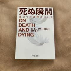 死ぬ瞬間 死とその過程についてのサムネイル
