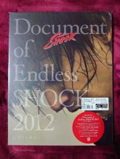 堂本光一/Document of Endless SHOCK 2012のサムネイル