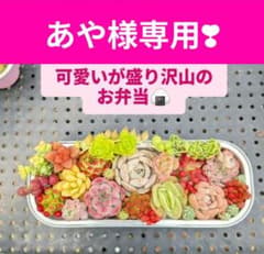 あや様 リクエスト 2点 まとめ商品のサムネイル