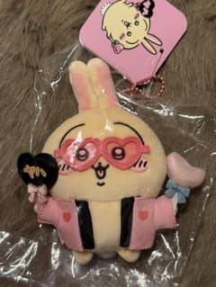 Chiikawa Otaku Activities Rabbit Mascot Fan