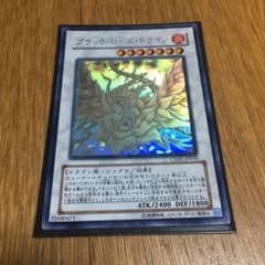 ブラックローズドラゴン　ホログラフィックレアのサムネイル