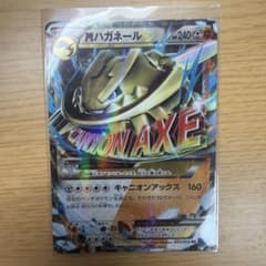MハガネールEX RR XY11 爆熱の闘士 033/054 - メルカリ