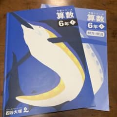 四谷大塚 予習シリーズ 算数 6年 上 - メルカリ