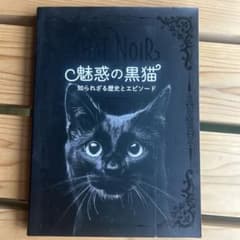 魅惑の黒猫 知られざる歴史とエピソードのサムネイル
