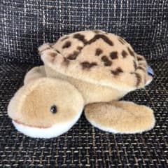 亀 かめ ぬいぐるみ アースウィンド セキグチ - メルカリ