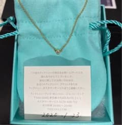 TIFFANY&Co.(ティファニー) ダイヤモンド　バイザヤード　ネックレスのサムネイル