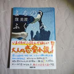 よるのふくらみ 澤美澄著 新潮社のサムネイル