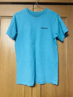 【大人気】patagonia パタゴニア Tシャツのサムネイル