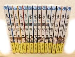 氷の城壁 1〜14巻 漫画全巻 全巻セット - メルカリ
