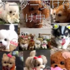 羊毛フェルト 犬　オーダー募集中のサムネイル