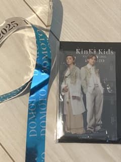 ・KinKiKids 2024-2025 DOMOTO アクスタ　銀テのサムネイル