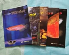安いアジアアロワナ プラタパッドの通販商品を比較 | ショッピング情報