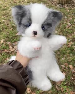 ハンドメイド　テディベア　作家　アーティストベア　イヌ　ワンコ 犬 ハンドメイド ぬいぐるみ 作家 アーティスト アーティストベア いぬ