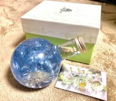 FLOWERiUM ハーバリウム ブルー系 電球型ボトル | Mercari
