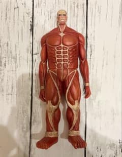 진격의 거인 초대형 거인 무키무키소프비피규어