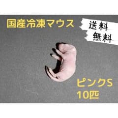 国産冷凍マウス ピンクS 10匹（送料無料一部地域発送不可) - メルカリ