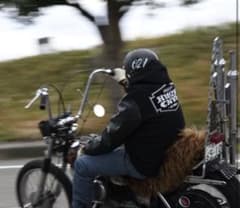 GO　ハウゼンブロス×キャンバス　Varsity Jacket ハウゼンブロスx キャンバス / VARSITY JACKET - メルカリ