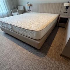 ◾️超一流ホテルのクイーンベット超格安販売です(送料込み)◾️No.11 