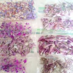 ドライフラワー 花材セット パープル系 アレンジメントのサムネイル