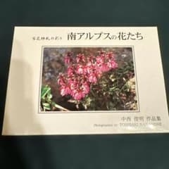 南アルプスの花たち ポストカードセット 中西俊明のサムネイル