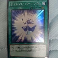 サイレント・バーニングのサムネイル