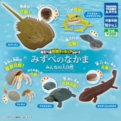 みずべのなかま　オオサンショウウオのサムネイル