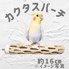 鳥用品 止まり木 カクタス スケルトン パーチ 中細 No.567 - メルカリ