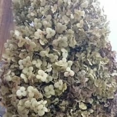 arbor様専用のサムネイル