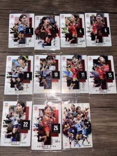 バレーボール 日本代表 トレーディングカード 11枚セットのサムネイル