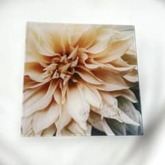 ダリアの花 アートパネル 壁掛けインテリア - メルカリ