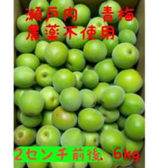 瀬戸内産　農薬不使用　青梅　6kg前後のサムネイル