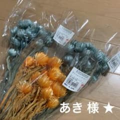 あき 様★ご専用のサムネイル