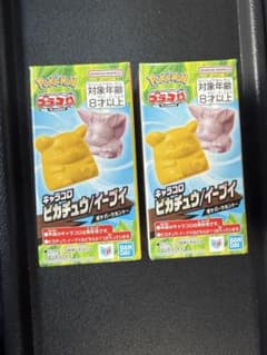 ポケパーク限定】 プラコロ ピカチュウ/イーブイ 2個セット キャラコロ