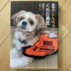 聴導犬こんちゃんがくれた勇気 難病のパートナーを支えてのサムネイル